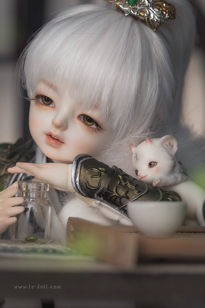 bjd