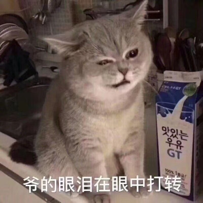 委委屈屈表情包