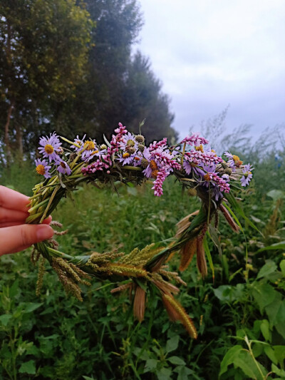 花环(自己编的野花花环哦^ω)