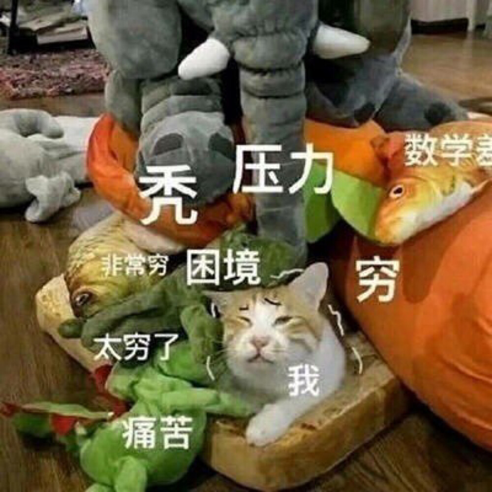 我太难了