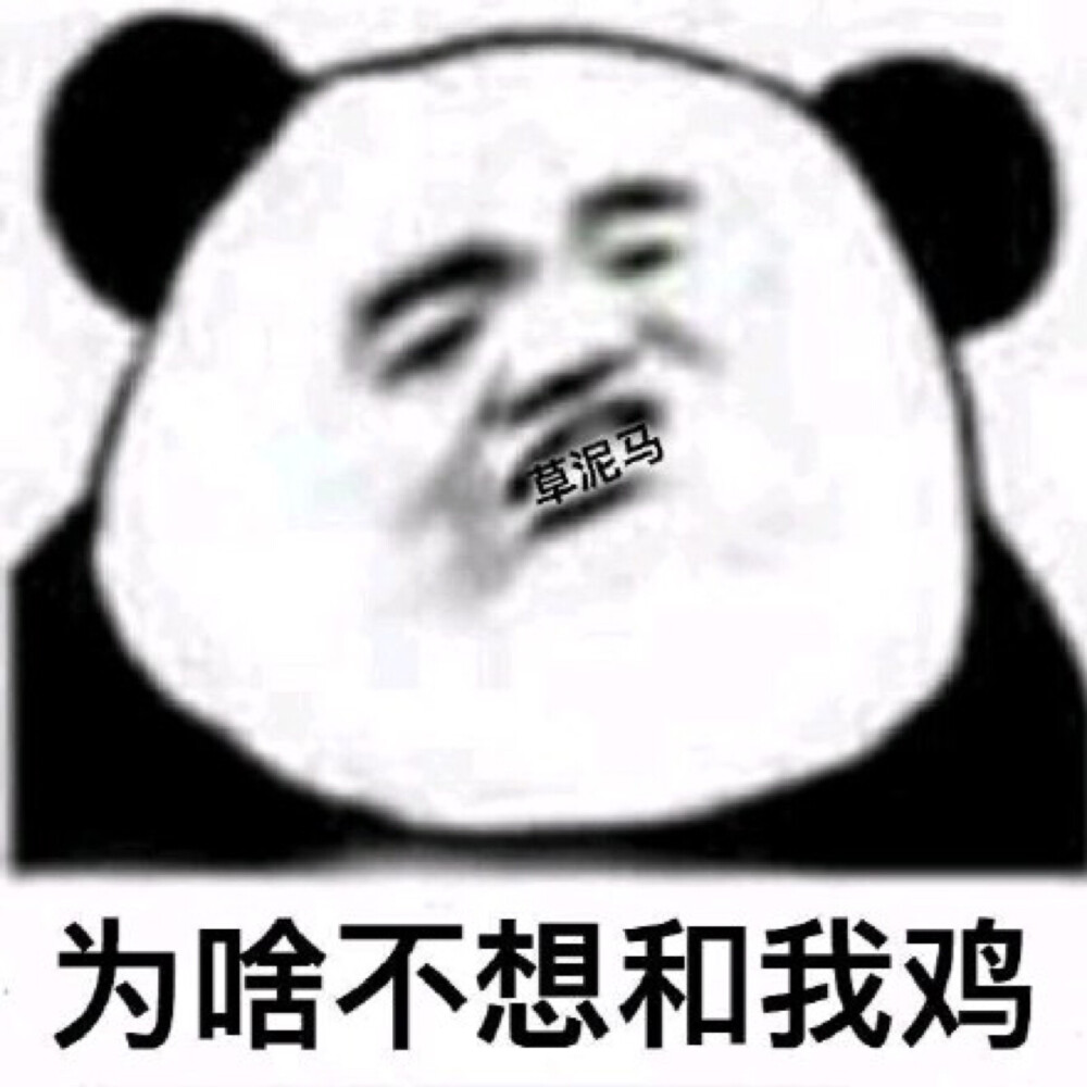 熊猫头 - 堆糖,美图壁纸兴趣社区
