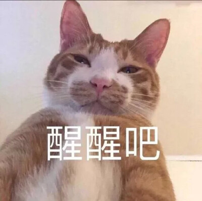 醒醒醒醒