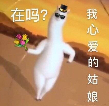 羊驼沙雕表情包在吗我心爱的姑娘