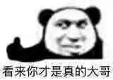 熊猫表情包没字