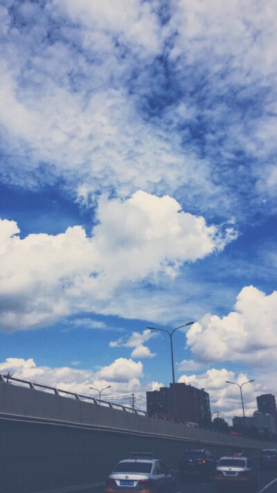 这风景爱了