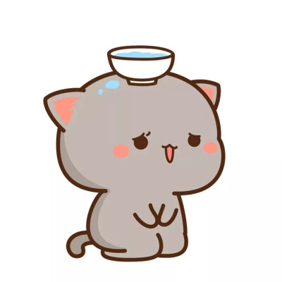 蜜桃猫