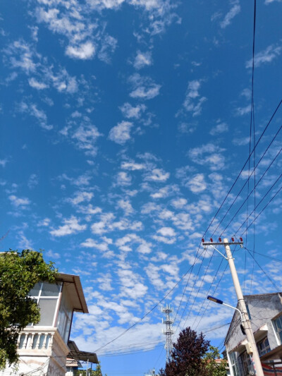 恋空- 堆糖,美图壁纸兴趣社区