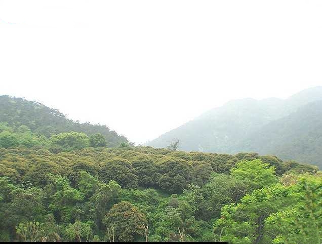 阳逻赛雨山