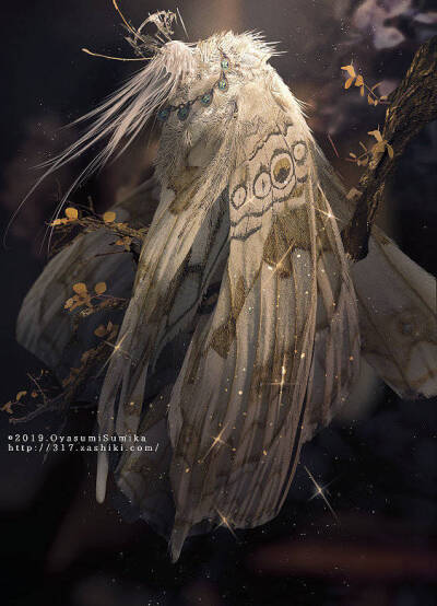 蝴蝶拟人画师:八名木