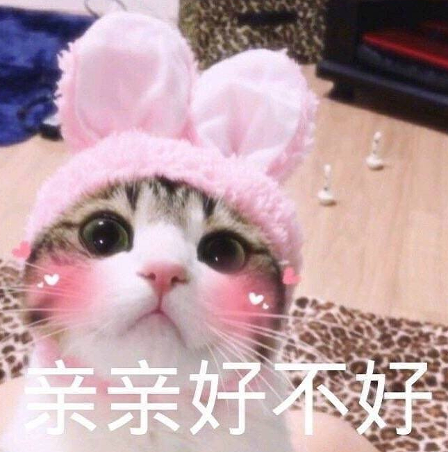 小猫咪 表情包