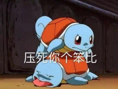 杰尼龟表情包