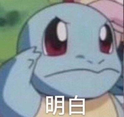 杰尼龟 