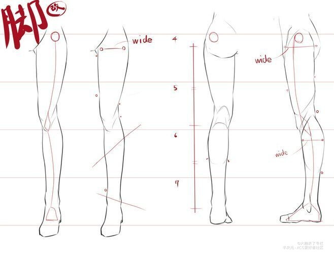 【人体素材】腿可不能再画成两根竹竿了~快来看看这组腿部绘画素材