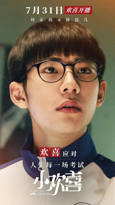 小欢喜 海报