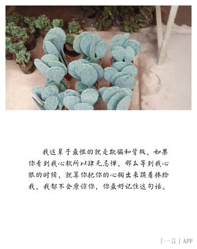 那么等到我心狠的时候,就算你把你的心掏出来跪着捧给我,我都不会原谅