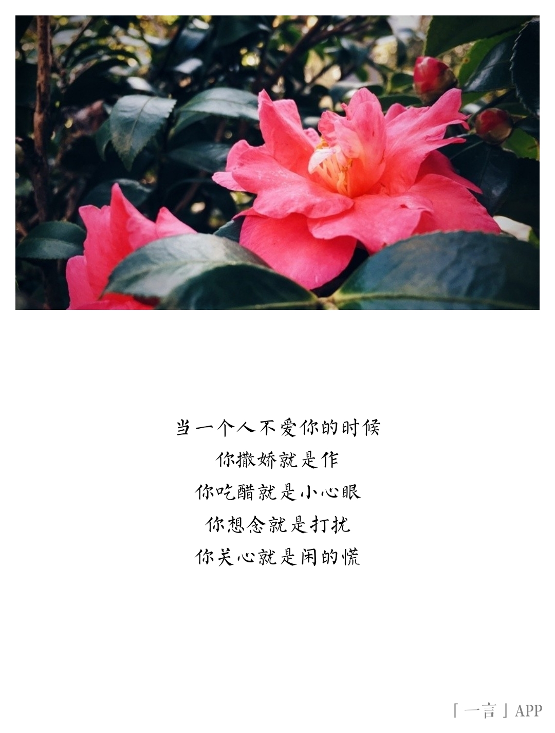 当一个人不爱你的时候你撒娇就是作你吃醋就是小心眼你想念就是打扰你