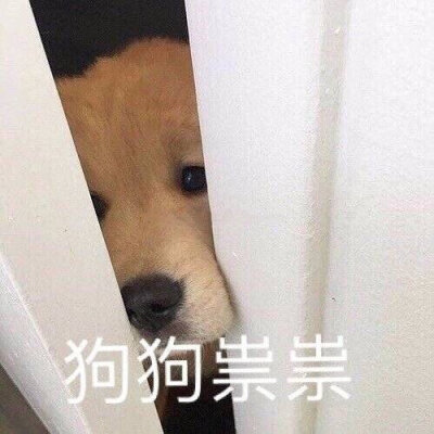 点赞  评论  表情包大杂烩～(▽")ノ 0 51 颜师古340  发布到  表情