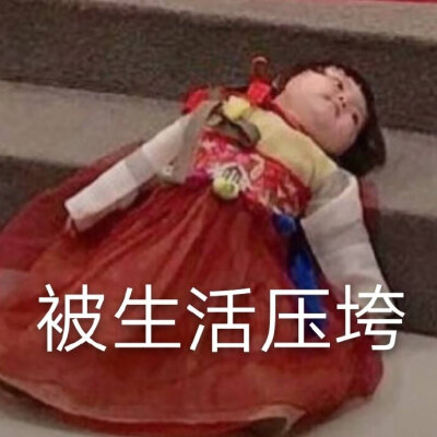 今日份表情包来啦我太难了侵权立删高糊表情包 喵咪 熊猫头 gif 金