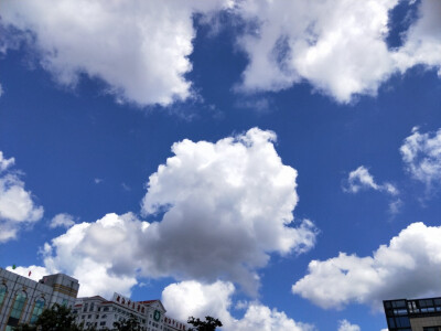 晴空万里狂风