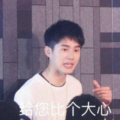 刘昊然沙雕表情包