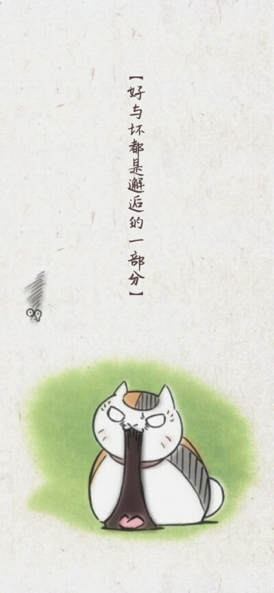 猫咪老师可爱萌