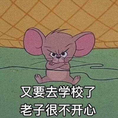 不想开学表情包