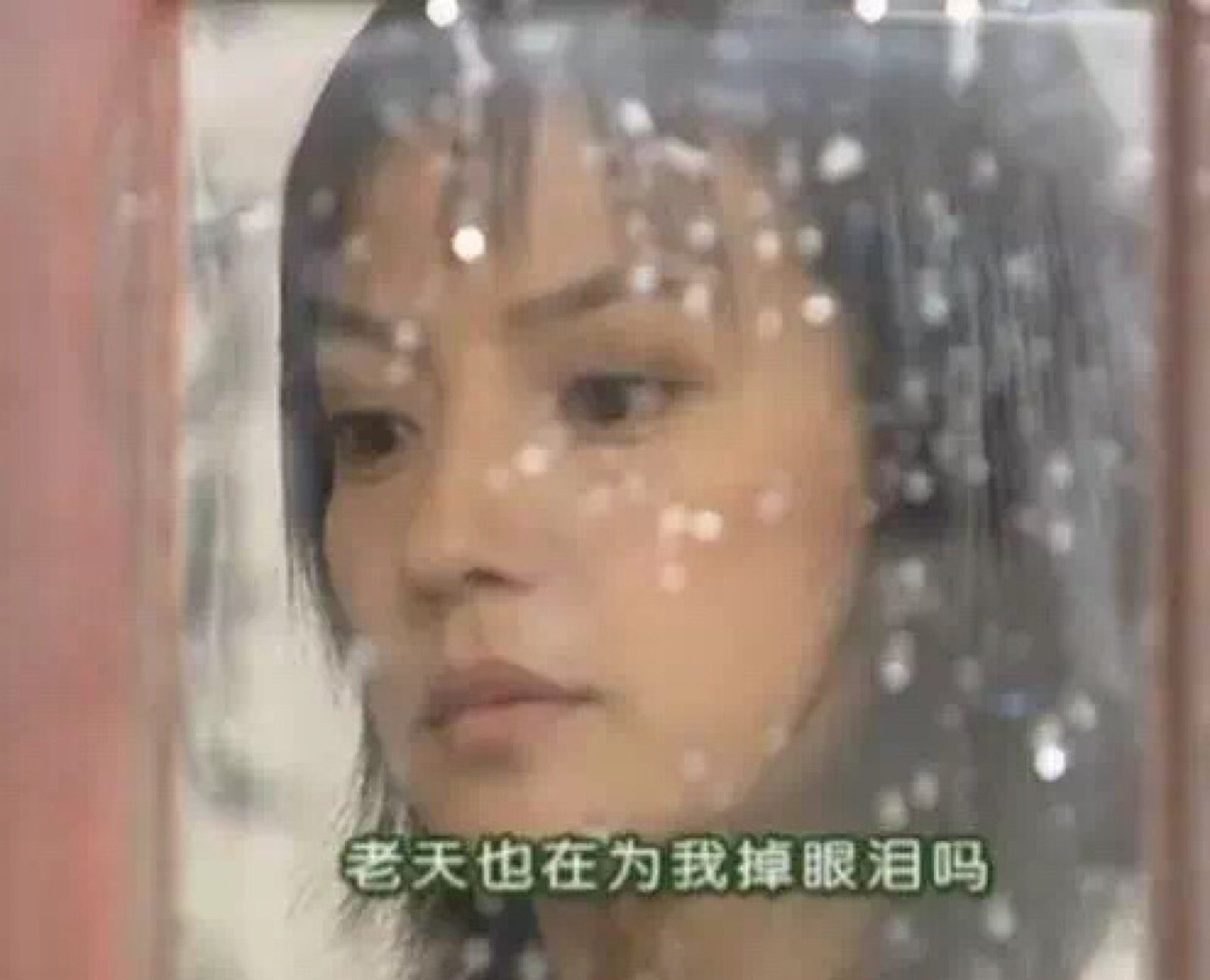 情深深雨蒙蒙依萍表情包