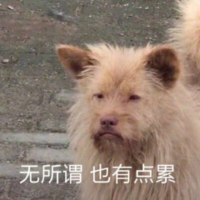 沙雕小嘉的日常表情包