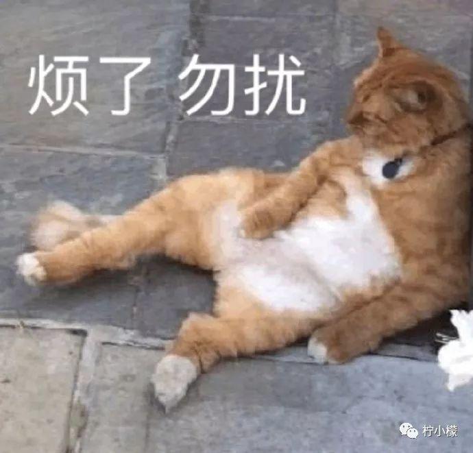 沙雕表情包 - 堆糖,美图壁纸兴趣社区