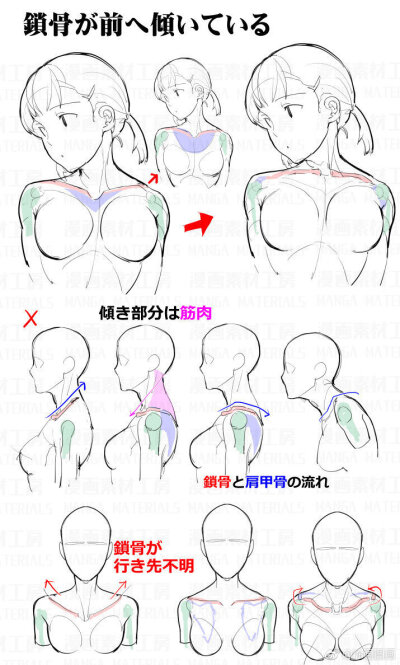 肩膀.