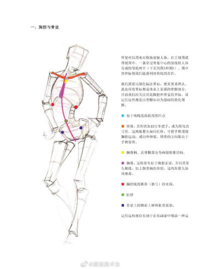 人体结构速写.