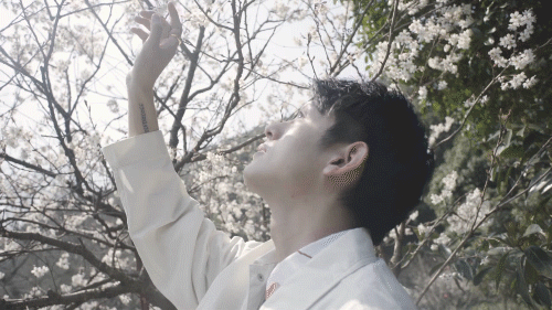 20190912165232_zLd8c.thumb.600_0.gif