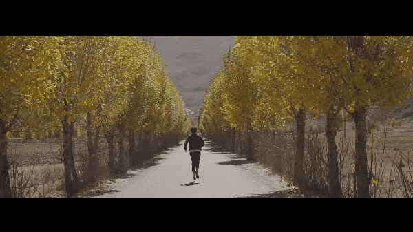20190912170033_CjsEY.thumb.600_0.gif