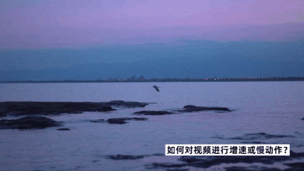 20190912170038_MVtYC.thumb.600_0.gif