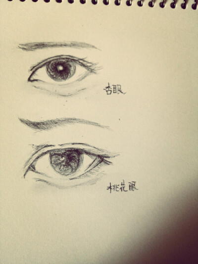 素描素材(眼睛)