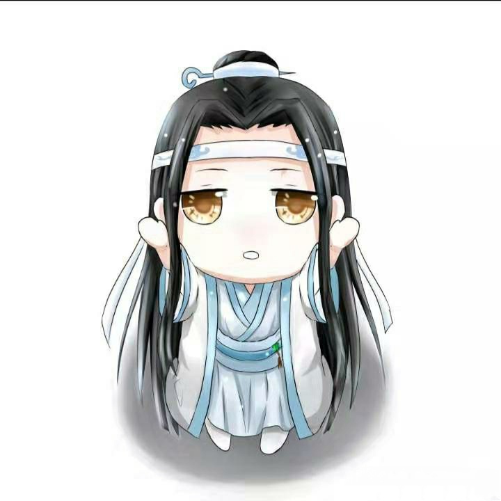 魔道祖师夷陵老祖魏无羡魏婴蓝忘机蓝湛含光君忘羡- 堆糖