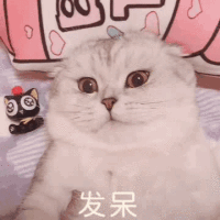 表情包3小动物~(=^ω^)