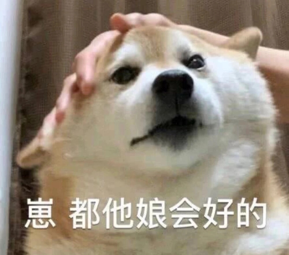 沙雕表情包 - 堆糖,美图壁纸兴趣社区