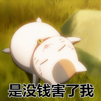 猫咪老师表情包