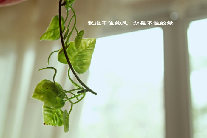 简单生活
