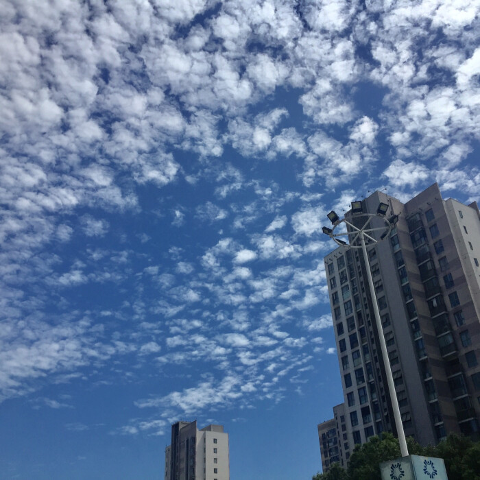 19-9-18 今日份-今天的天气好舒服啊,好多云