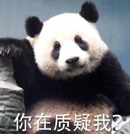 大熊猫 生闷气 表情包