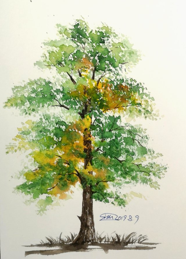 水彩树的画法 - 堆糖,美图壁纸兴趣社区