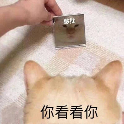 你看看你 憨批 你看看我 靓仔