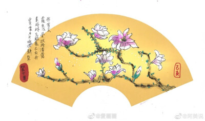 玉兰花课