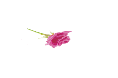 gif格式小贴纸