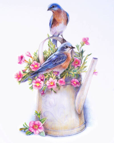 彩铅 插画 植物 动物绘画 花鸟 作者ins@a_aleksandrovna