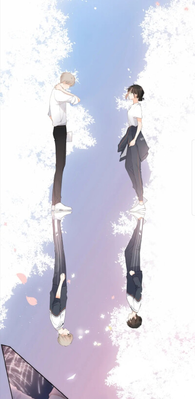 再度与你#壁纸#杨沐礼#旬桉