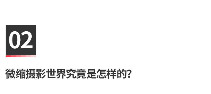 20190930183816_4PaXV.png
