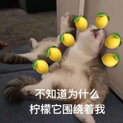 沙雕表情包